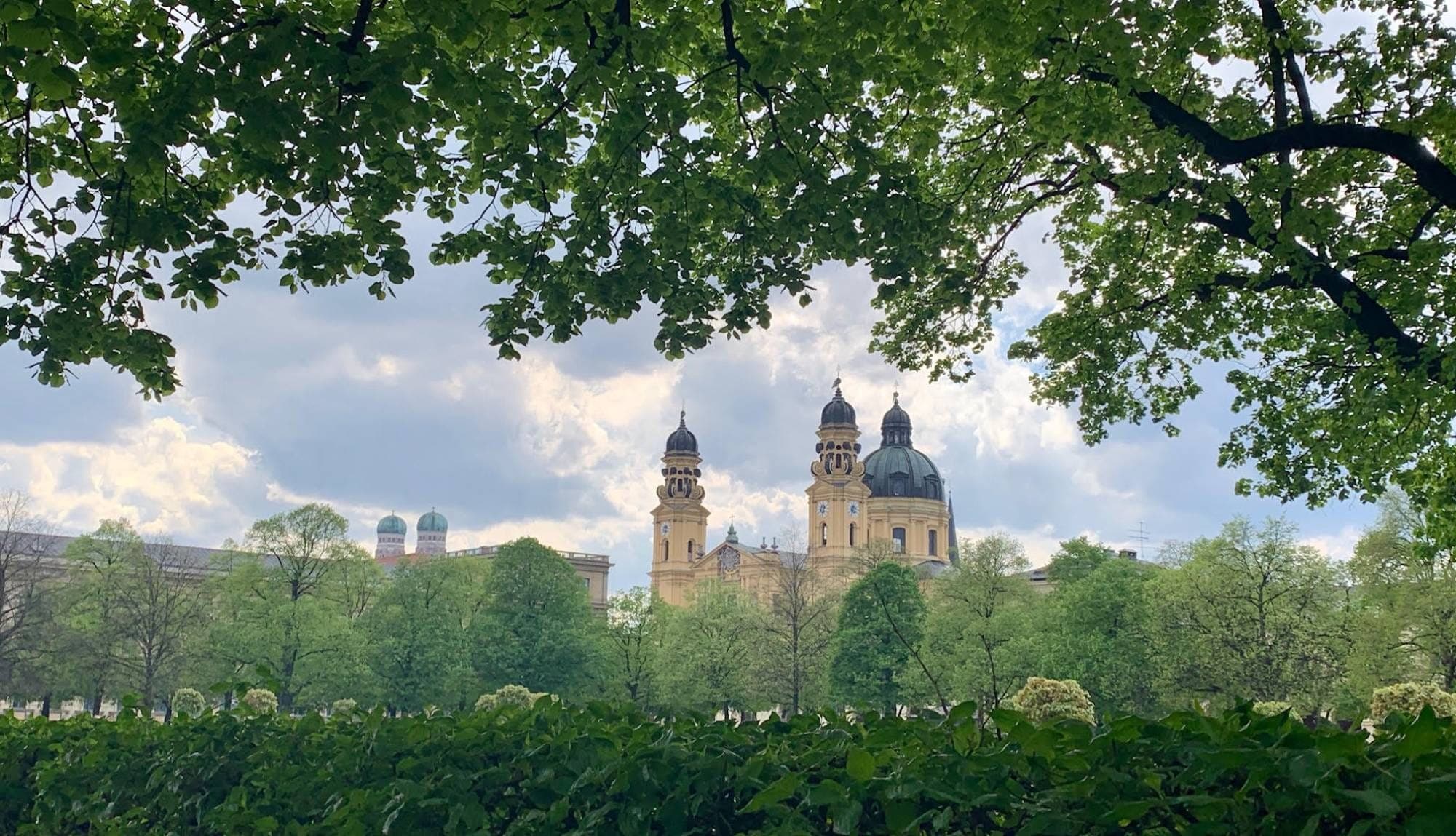 View through the Hofgarten to the Theatine Church and the towers of the Frauenkirche